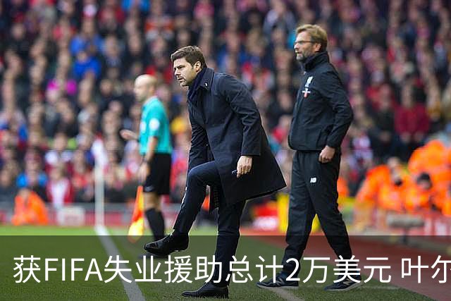 获FIFA失业援助总计2万美元 叶尔杰提成中国球员第一人